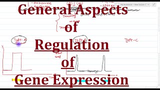 2 General aspects of gene regulation [upl. by Duwad]