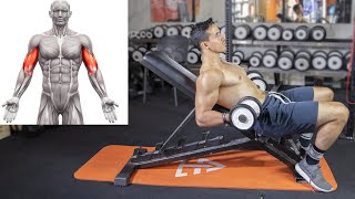 Prendre de la masse aux Biceps avec 5 exercices [upl. by Gula212]