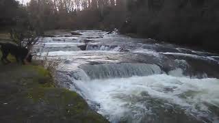 Millstone River Nanaimo British Columbia Canada [upl. by Duyne]