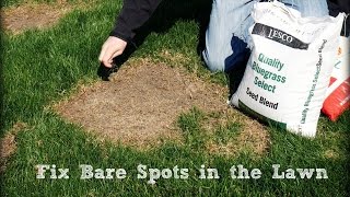 How To Seed And Repair Bare Spots in the Lawn [upl. by Terrijo301]