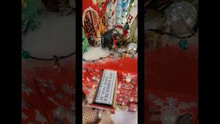 DIY Advent Calendar wlarge drawers 4 adult children still  home [upl. by Alihet760]