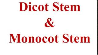 Dicot stem and Monocot stem BSc 3rd Sem GDC Kargil [upl. by Loferski]