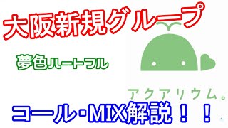 『夢色ハートフル』MIX・コール解説動画 [upl. by Lzeil]