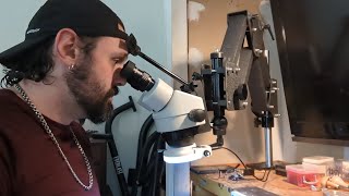 The Absolute BEST Budget Setting Microscope Quick Review [upl. by Ettessil]