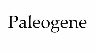 How to Pronounce Paleogene [upl. by Llyrat]