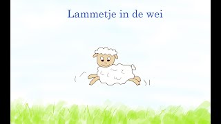 Lammetje in de wei [upl. by Llemij180]