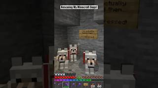 A Thief Stole My Dogs and I Rescued Them minecraft [upl. by Ahsimaj860]