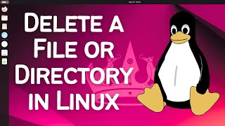 How to Delete a File or Directory in Linux [upl. by Ody]