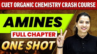 Amines  FULL CHAPTER  Everything Covered  Class 12th  CUET Crash Course [upl. by Schaumberger]