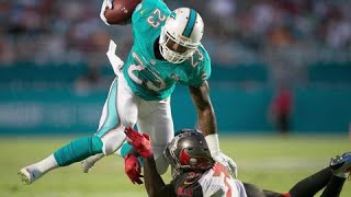 Video Dolphins wrap up preseason with loss to Buccaneers [upl. by Eninej]