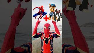 Spiderman  Chase Paw Patrol and Killy Willy  Marvel Animation [upl. by Acnayb]