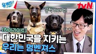 어떤 사건 현장이든 달려간다멍 위대한 개코로 대한민국을 지키는 멍벤져스🐶 highlight유퀴즈온더블럭  YOU QUIZ ON THE BLOCK EP272 [upl. by Mulford]