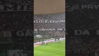 POR OUTRO ÂNGULO FESTA DA FIEL APÓS CLASSIFICAÇÃO DO CORINTHIANS CONTRA O GRÊMIO NA COPA DO BRASIL [upl. by Beisel]