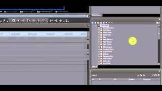 2 Organizing the Effects Palette in EDIUS 7 [upl. by Aihsi]