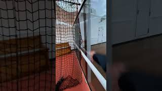 Holland America  Cruise Ship Zaandam  Deck 9 Crows Nest amp outdoor play courts  Quick Overview [upl. by Ronna581]