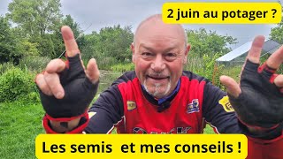 Que font les jardiniers aux 2 juin au jardin  Mes conseils sur la mouche de la carotte [upl. by Rotberg]