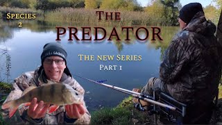 The Predator  Perch Fishing UK  New Series Begins [upl. by Cook]