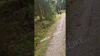 funnyshorts dressage dressurpferd nature austria ausreiten [upl. by Bork]