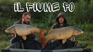 IL FIUME PO  CARPFISHING [upl. by Eaned]