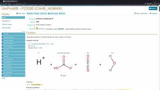 PyMOL learning path 4  Getting info from Uniprot and EXPASY ProtParam [upl. by Eesak]