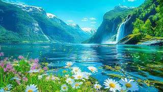 Beautiful Relaxing Music 🌿 Stop Overthinking Stress Relief Music 🌿 Gentle Music [upl. by Akcirahs38]