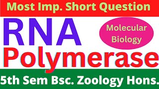 RNA polymerase ll Types of RNA polymerase ll RNA polymerase in prokaryotes [upl. by Irahk]