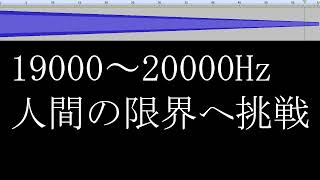 【1分で聴力チェック】モスキート音｜1Hz～20000Hz 連続再生 モスキート音 モスキートーン [upl. by Nwaf]