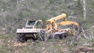 Skidder Tigercat 635D with ECO Soft 26 [upl. by Adamek]