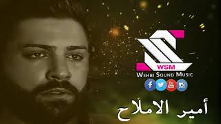 نزلت على عين طاريا 💥 اسمع امير الملاح 💣 بس من عنا 🎶 الى عشاق دبكة العرب 2019 [upl. by Rego]