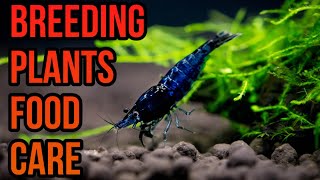 Natural Neocaridina Shrimp Tank Tour 🦐  Beginner Tips amp Channel Intro 🦐🦐🦐 [upl. by Emily]