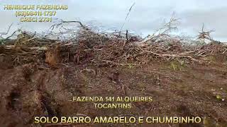 FAZENDA 141 ALQUEIRES PLANA ESTADO TOCANTINS 63984111737 [upl. by Rehpinej]