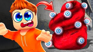 SCP066 verfolgt mich in ROBLOX😭 [upl. by Shanie]