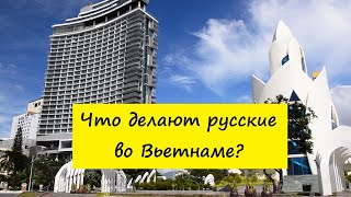 Вьетнам Нячанг погода сегодня 16 октября 2024 года ❤️ Русские во Вьетнаме [upl. by Burgwell141]