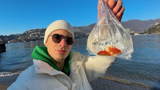 libero alfonso e gaetano nel lago di como [upl. by Chema]