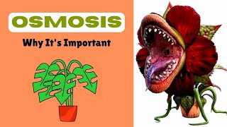 Role of Osmosis in Living Organisms I Cell Physiology Form 1Grade 8 [upl. by Bish215]