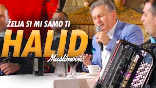 Halid Muslimovic  Zelja si mi samo ti  orkestar Gorana Todorovica [upl. by Mccallum]