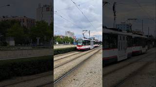 OLOMOUC  City tram 🚊 near main train station Hlavní nádraží  4K trams [upl. by Akeinahs]