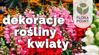 Co dzisiaj wybierzesz Fikusa kwitnące cuda czy wazon  przegląd nowości  Flora Point [upl. by Stockwell]