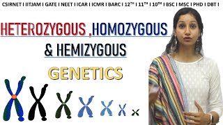 Homozygous Hemizygous and Heterozygous I Genetics I CSIRNET I IITJAM I GATE I NEET I CLASS 11 12 10 [upl. by Austreng]