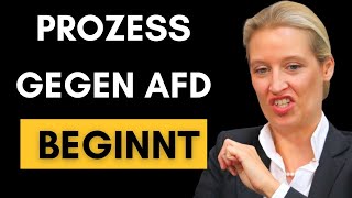 Gerichtprozess JETZT will Haldenwang die AfD VERNICHTEN [upl. by Ensoll197]