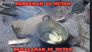 camping in the forest cooking mango building a simple shelter for shelter overnight sleep soundly [upl. by Neelhtakyram]