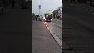 Přijezd autobusu 6808 na lince 215 [upl. by Engle953]