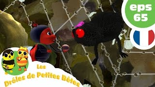 DRÔLES DE PETITES BÊTES  EP65  Le pou ventriloque [upl. by Gottfried824]