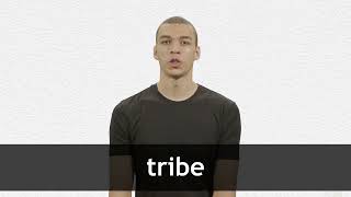 How to pronounce TRIBE in American English [upl. by Noid471]