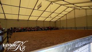 Equitana Melbourne 2024  Day 2 LongReining [upl. by Knowling]