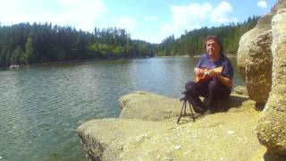 Free Fallin Tom Petty  Fingerstyle Ukulele  WALDVIERTEL 7 [upl. by Wivestad475]