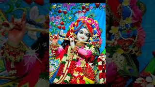 Krishna Damodar Ashtakam shorts shortvideo [upl. by Giacamo306]