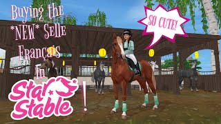 Buying the NEW Selle Français in Star Stable  Ida Starsong [upl. by Norrag]