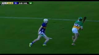 FANTASTIC ADAM SCREENEY POINT  OFFALY V TIPPERARY  2024 ALL IRELAND U20 HURLING FINAL [upl. by Jarrad872]