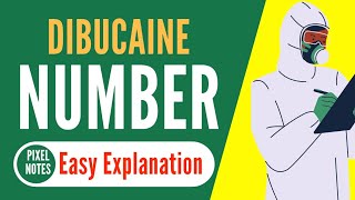 Dibucaine Number  Pseudocholinesterase Activity [upl. by Ube]